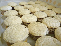 Zkusky