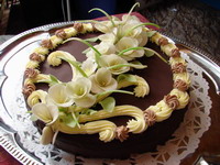 Kulat dorty