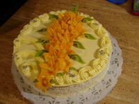Kulat dorty